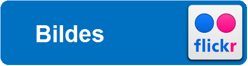 Bildes